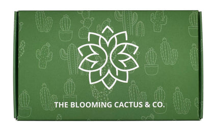 4 Pack Air fresheners | Long lasting car air fresheners, Hand-made in USA