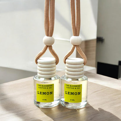 2 Pack Air fresheners | Long lasting car air fresheners, Hand-made in USA