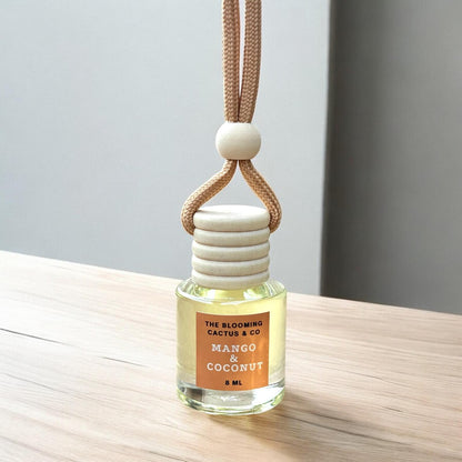 Car Diffuser Hanging | Car Freshener