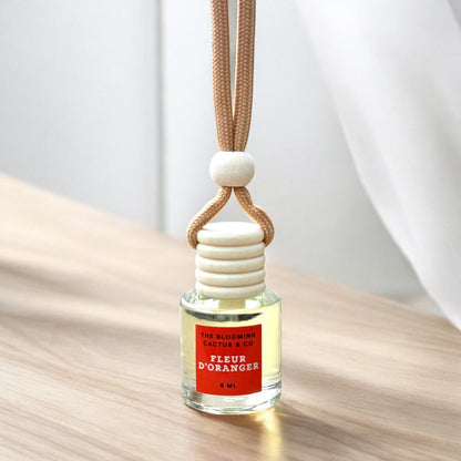 Car Diffuser Hanging | Car Freshener