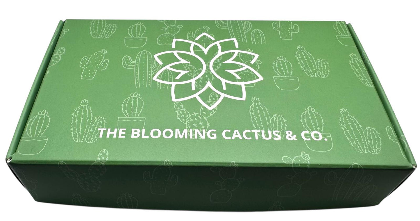 4 Pack Air fresheners | Long lasting car air fresheners, Hand-made in USA